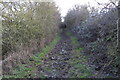 Muddy bridleway along Shire Lane in MK43 0AP