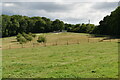 Fields by High Weald Landscape Trail in RH18 5NN