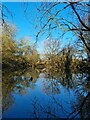 Pond near Holwell Bury Farmhouse in SG5 3FU