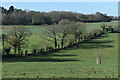 Farmland west of Branches Lane in SO51 6FH