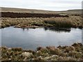 Pool on Mynydd James in NP13 3JA