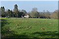 View across field to White Lodge in SO51 6GN