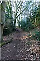 Public footpath to car park from Hilditch Pool, near Hartlebury, Worcs in DY13 9QS
