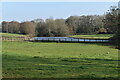 Moated site near Manor Farm in SP5 2BG