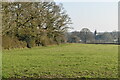 View to Sherfield English Church from Sole Hill Farm in SO5 0ZR