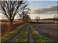 Track and footpath along Anstey Lane in LE3 8GL