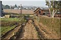 Muddy track leading out of field at Critchell's Green in SO51 0JS