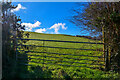 Berrynarbor : Grassy Field & Gate in EX34 9TA