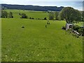 The Offa's Dyke path crosses fields near Pen-y-stryt in LL11 3AB