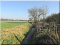 Watercourse on Bentley common. in DN5 0DH