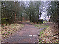 Wishaw Low Road going through Collyshot Wood in ML2 7HL