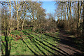 Permissive path, Manor Farm Wood in Rampton