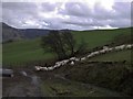 Traffic jam in Cadfarch Community