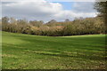 Field and woodland above Rowden's Farm in SO51 6FT