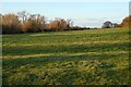 Pasture, Kimble in HP17 0UE