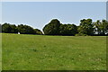 Field by Sussex Border Path in RH19 4NG