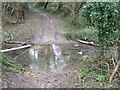Fording the Newton Brook in BA2 9EG