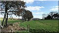View ESE along a field boundary SW of Bury Mill Farm in RH20 1HE