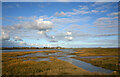 View across saltmarsh from Butler's Farm No. 1 Sluice in SS4 2AN