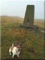 Hill Of Tillymorgan Trig Point Flush Bracket S6901 in AB52 6UN
