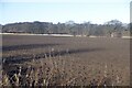 Ploughed field, Drum in EH22 1RR