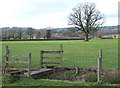 Bridge on Footpath to Corfton, Shropshire in SY7 9LD