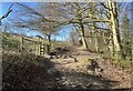 Bridleway below Wolstonbury Hill in BN6 9EL