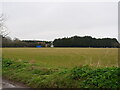Looking towards Hall Farm in NR28 0QE