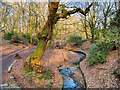 Deyne Brook, Prestwich Clough in M25 3JS