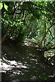 Footpath, Hawk's Den in RH19 4QU
