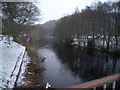 Looking upstream in the snow in PH6 2ND