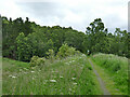 Black Isle railway path east of Hawthorn Road in IV6 7RL