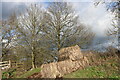 Hay bales by Holmshill Lane, Borehamwood in WD6 5PF