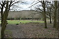 Part of the forest campsite, Debden Green in IG10 2SB