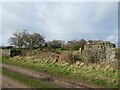 Ruin near Wormit Hill in DD6 8PH