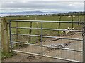 Farm gate in Llanelli Rural Community