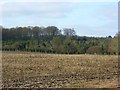 Field and woodland near Burnt Hill in RG18 0XF