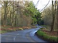 Road through Ashampstead Common in RG8 8QY