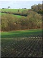 Arable fields amongst woodland near Ashampstead in RG8 8QY
