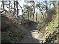 Old sunken pathway below the car park at Corbet Wood, Grinshill in SY4 3BH