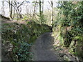 Old pathway on Grinshill, Shropshire in SY4 3BH