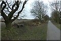 Bench beside the York to Selby cycle path in Naburn