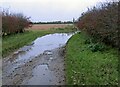 A big puddle on Stoke Ferry Lane in NG12 1EJ
