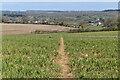 Path across field below Painshill Farm in SO51 0JE