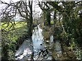 River Cam, near Sparkford in BA22 7LA
