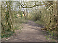Bridleway 1553, Bewbush, Crawley in RH11 6DG