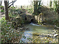 Bewbush Brook passes through old pond bay in RH11 6DG