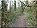 Bridleway 1550 towards Kilnwood Lane in RH11 6DG