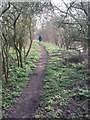 Path by canal, edge of Horsenden Hill in UB6 8LF
