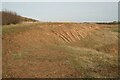 Quarry face SSSI, Welton le Wold in LN11 0SA